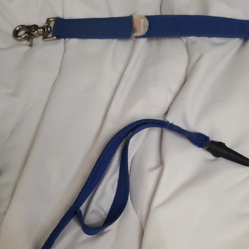 Puppia Aqua and Navy Dog Harness Set